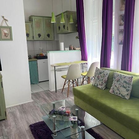 Center Cosy Vintage Apartment Нови-Сад Экстерьер фото