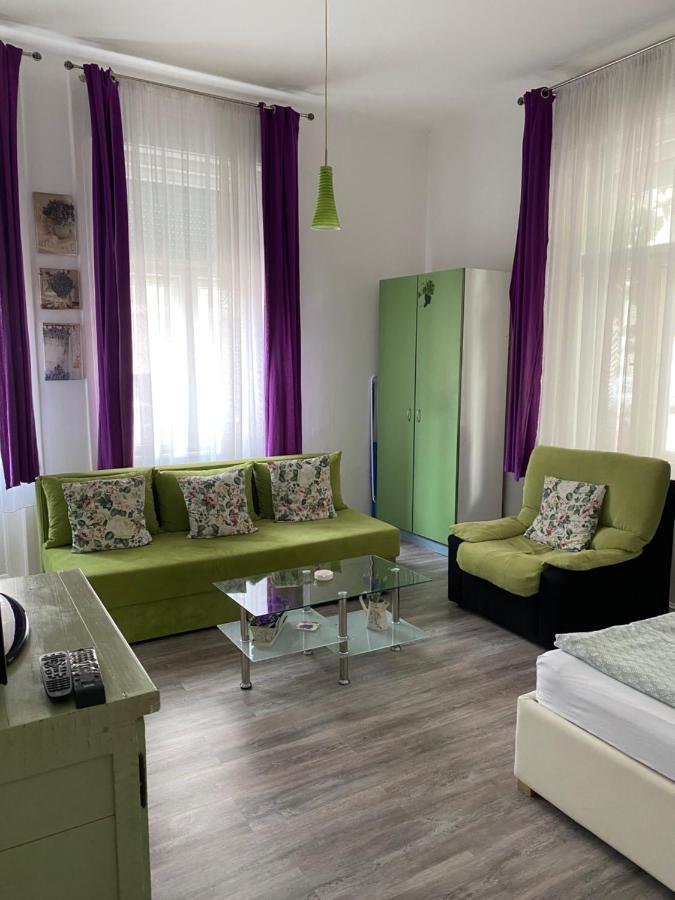 Center Cosy Vintage Apartment Нови-Сад Экстерьер фото